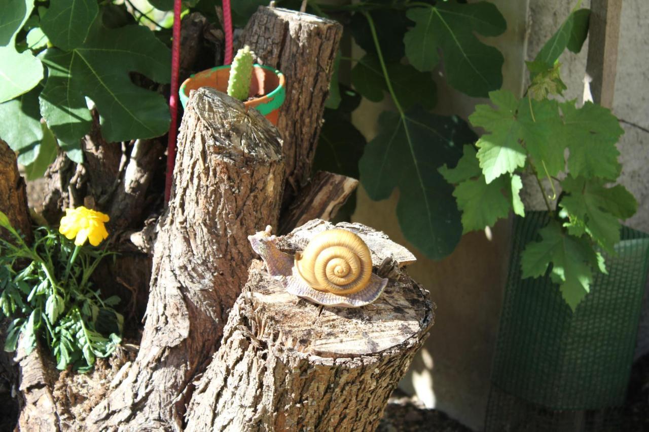 Gite Le Cep D'Or Alsace Saint-Hippolyte  Exterior photo